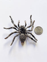 Load image into Gallery viewer, Creepy Crawler web spider suspend.it and macrame web