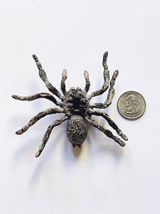 Creepy Crawler web spider suspend.it and macrame web