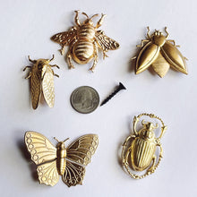 Load image into Gallery viewer, Brass bug suspend.it