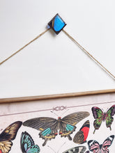 Load image into Gallery viewer, Blue Morpho butterfly stained glass suspend.it