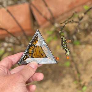 Monarch butterfly stained glass suspend.it