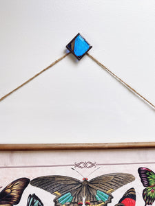 Blue Morpho butterfly stained glass suspend.it